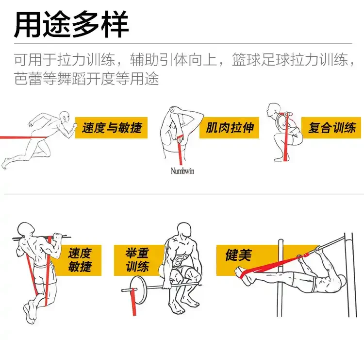 学生篮球主力如何平衡学业与训练_0
